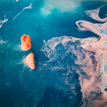 body of water, fluid, liquid, organism, underwater, colorfulness, fish, marine biology, geological phenomenon, koi,