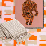 best throw blankets for 2023