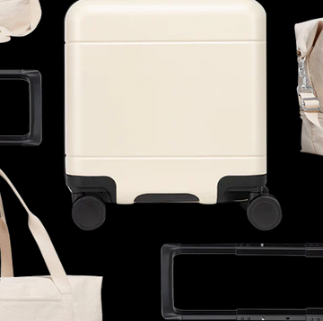 luggage for international travel