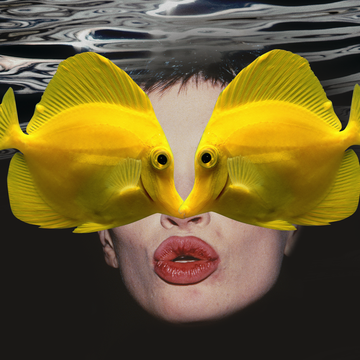 two yellow fishes kiss over a person's face