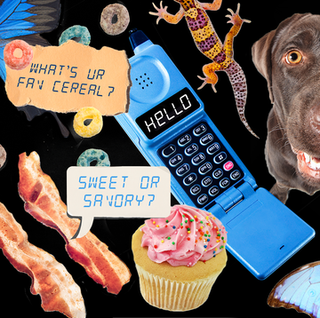 tinder conversation starters